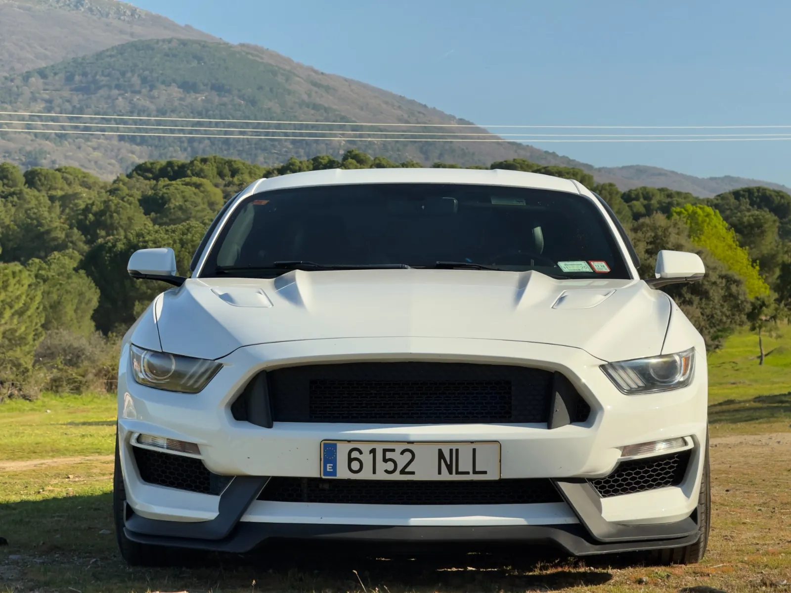 Ford Mustang Fastback GT 5.0 Ti-VCT V8 310 kW (421 CV)