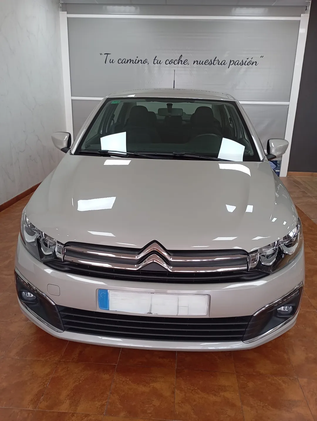 Citroën C-Elysée BlueHDi 100 S&S Shine