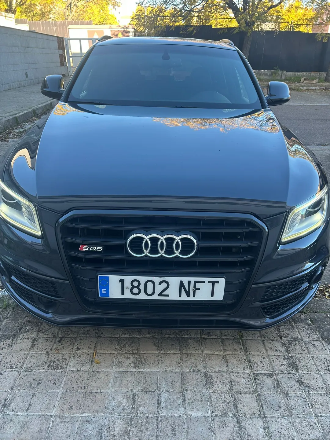 Audi Q5 Sq5 3.0 TDI 326CV quattro tiptro Competition
