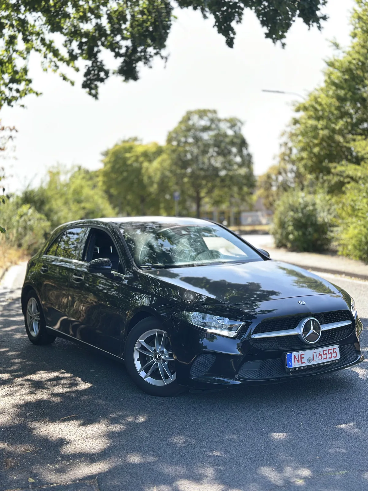 [REVISIÓN] A 180 d